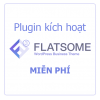 Pk Flatsome Active Logo 1